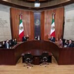 TEPJF ordena incluir a 18 rechazados en elección judicial